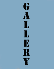 Gallery Label graphic